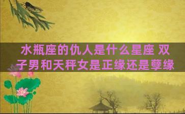 水瓶座的仇人是什么星座 双子男和天秤女是正缘还是孽缘